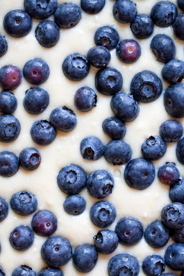 fresh blueberries being sprinkled on top of cake batter to make blueberry cake 