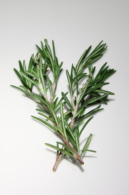 two twigs of rosemary on a kitchen counter