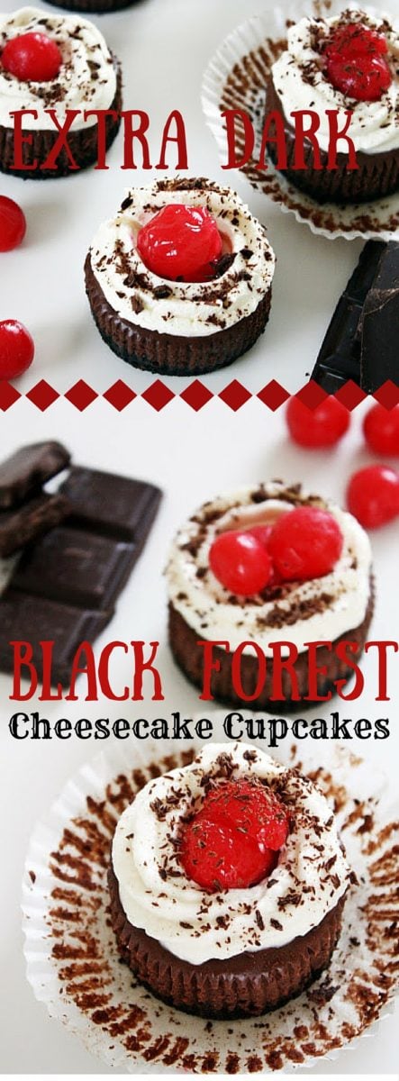 Extra Dark Black Forest Cheesecake Cupcakes 