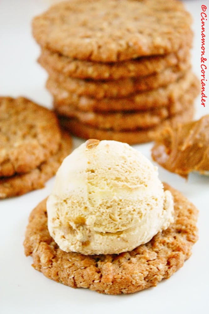 Best Biscoff Oatmeal Cookie Recipe
