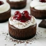 schwarzwälder kirsch mini käsekuchen mit Sahne und Kirschen Dekoriert