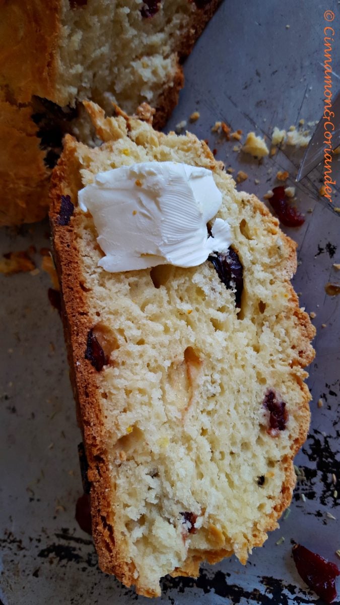 Cranberry Soda Bread