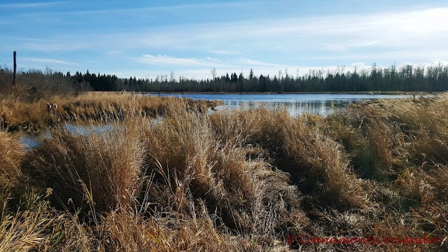 Elk Island National Park