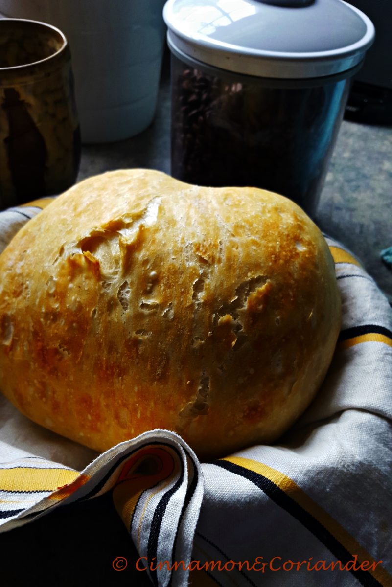 no-knead-artesan-bread