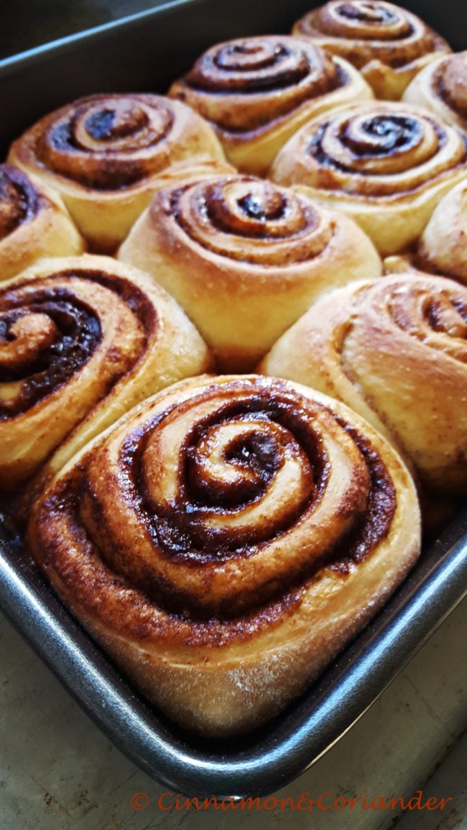 caramel sticky buns fresh out of the oven