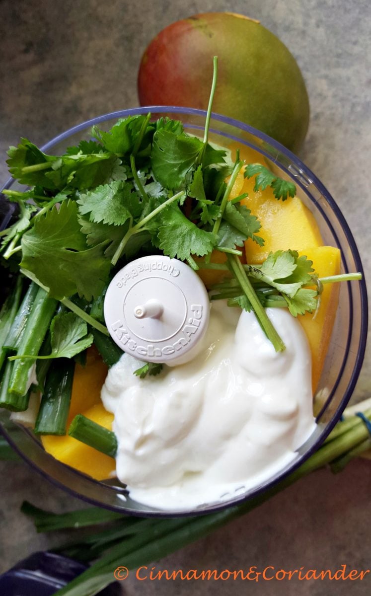 exotic-mango-cilantro-sauce