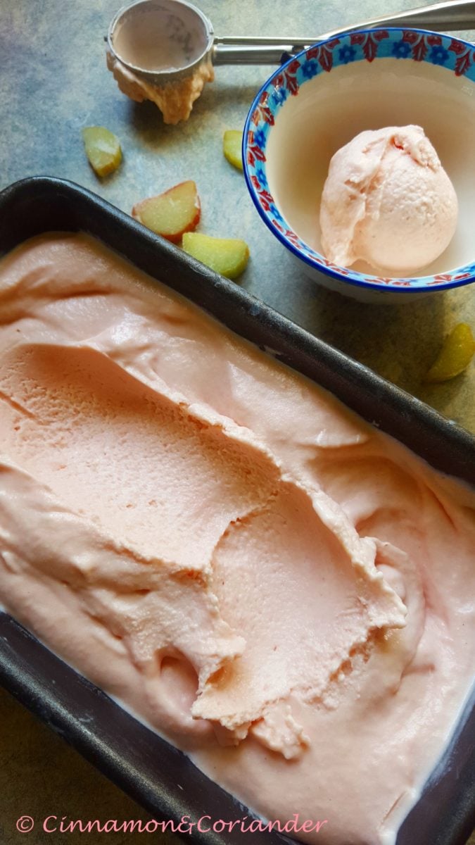 cremiges Rhabarber Eis aus der Eismaschine in einer Kastenform