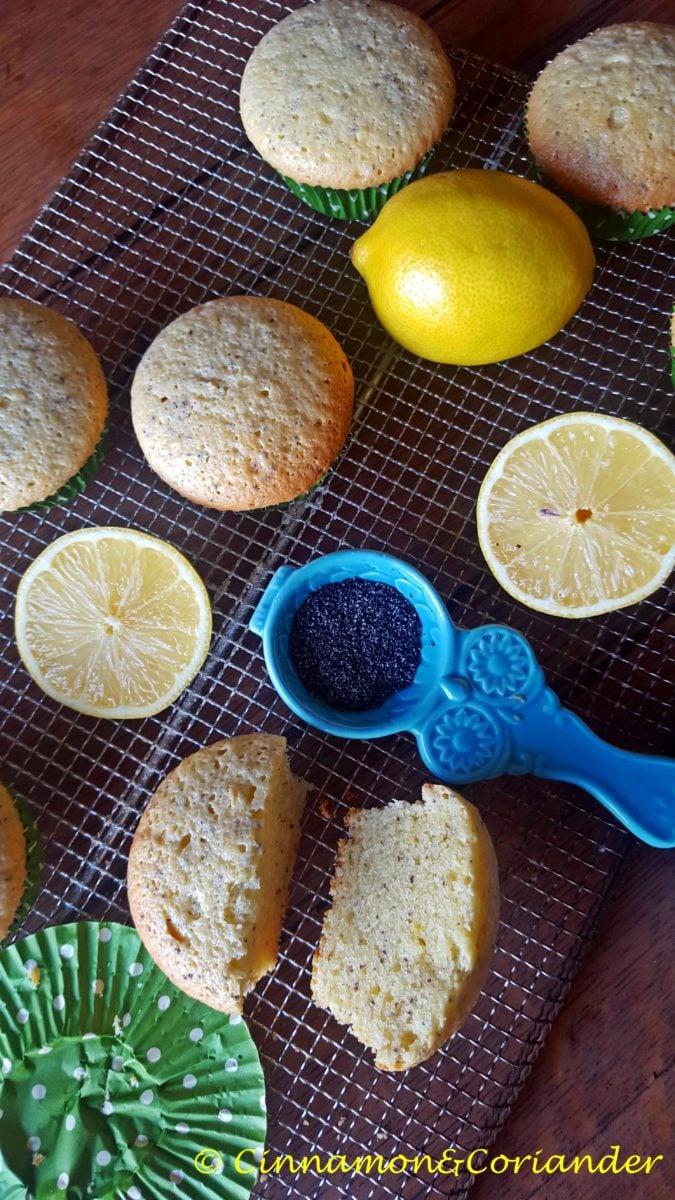 bouchon bakery lemon poppy seed muffins