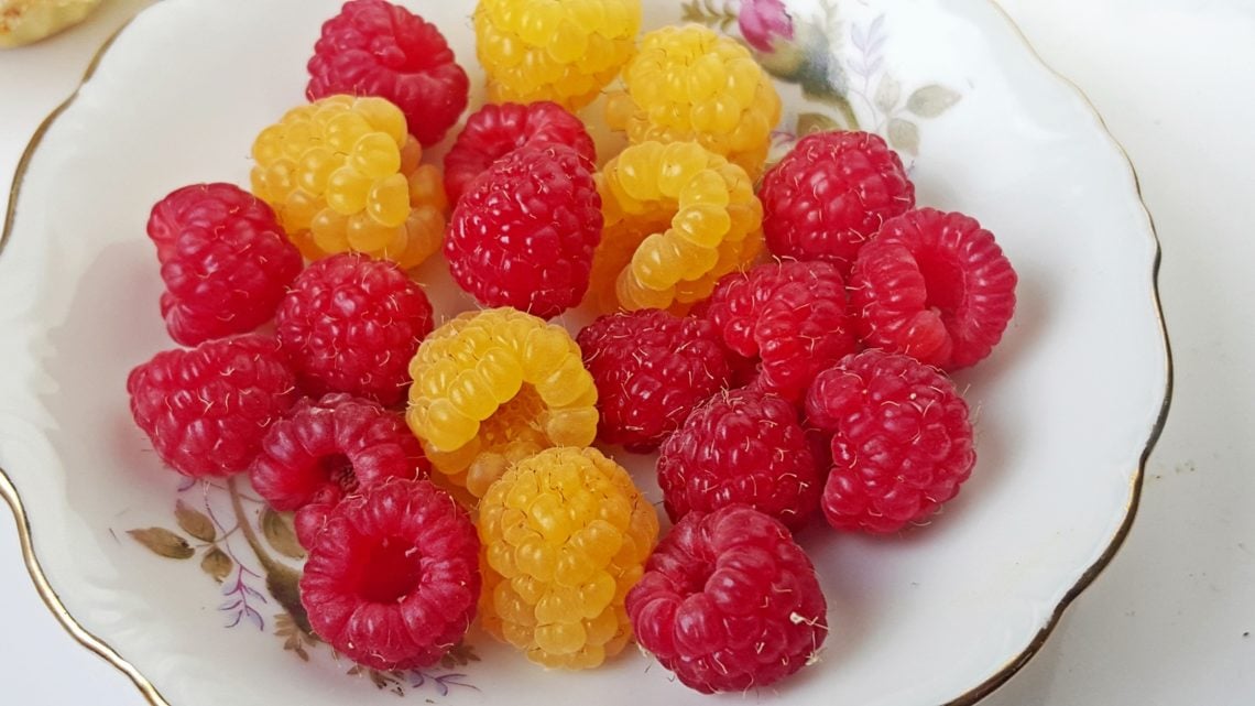 Golden Raspberries