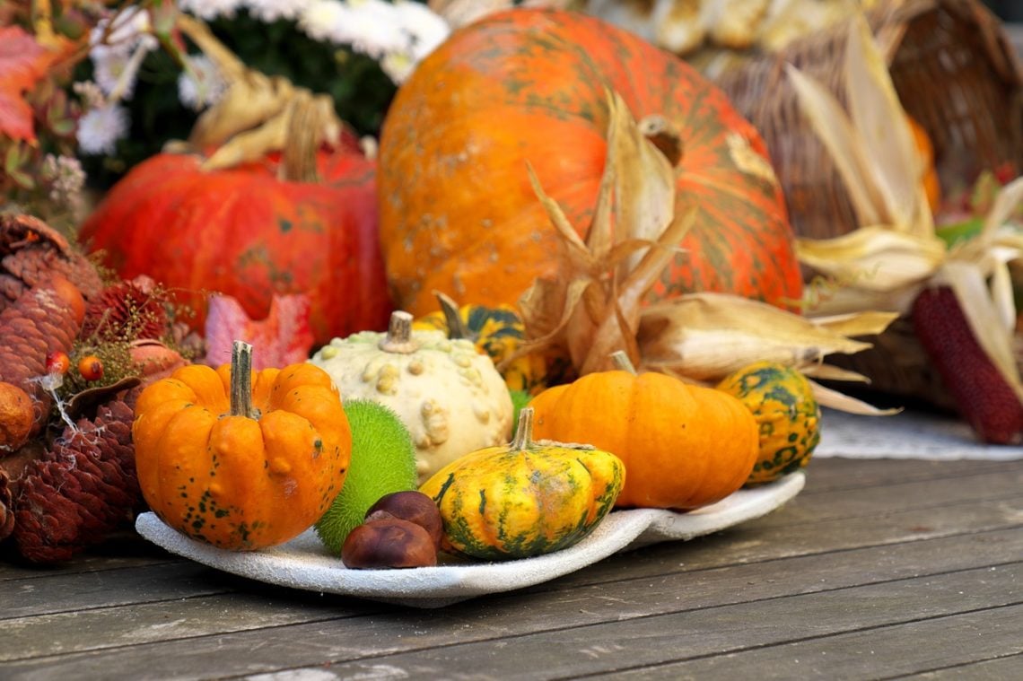 different sized and coloured squashes arranged on a wooden table 