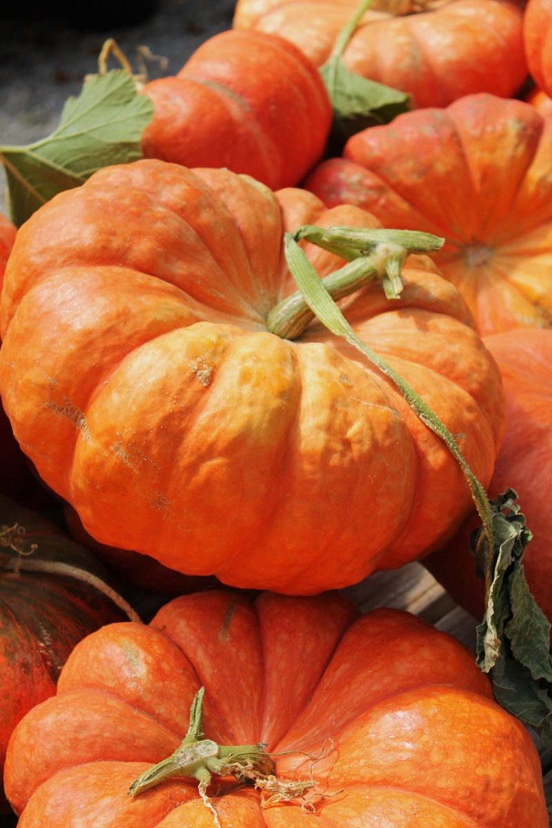 pumpkins on a wooden table ready for making homemade pumpkin pie filling from sratch