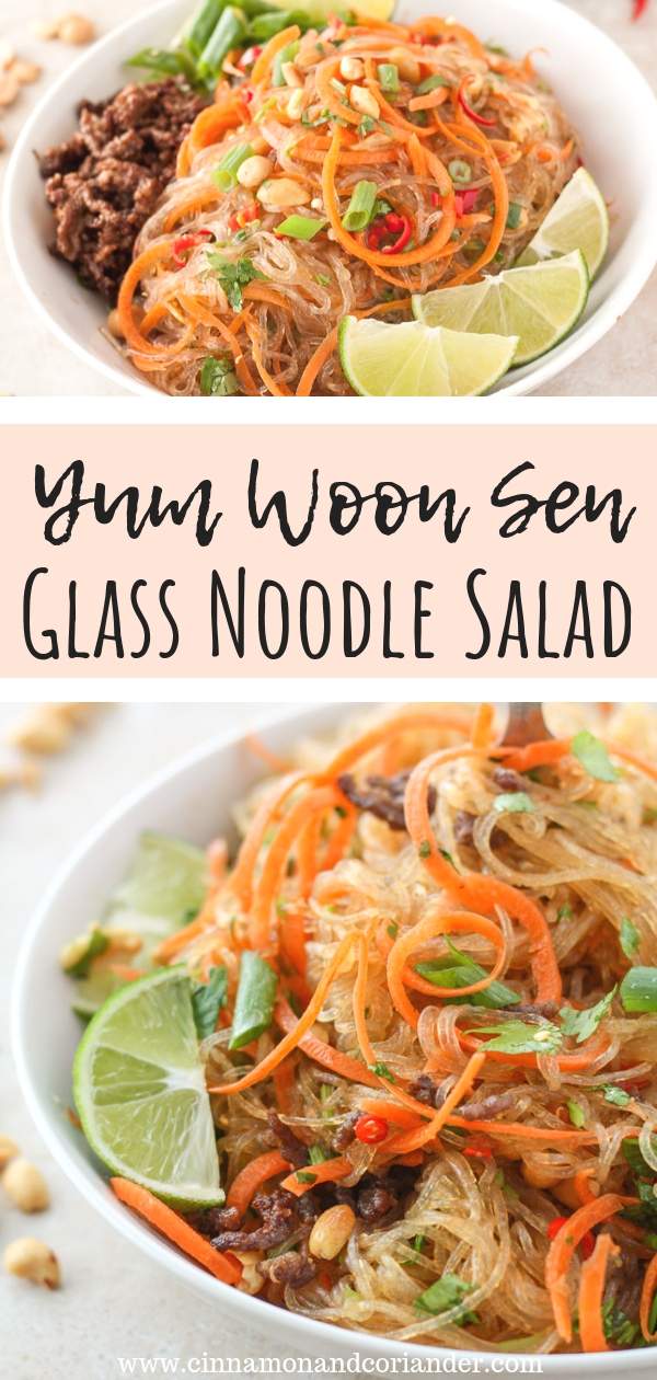 Yum Woon Sen is a refreshing Thai Glass Noodle Salad with fresh chopped vegetables, herbs and a zingy Ginger Lime Dressing. A cold salad that is perfect for healthy meal prep! Make it with ground beef, pork or chicken or use tofu for a vegan version! Easy, gluten-free & healthy! #mealprep, #saladrecipes