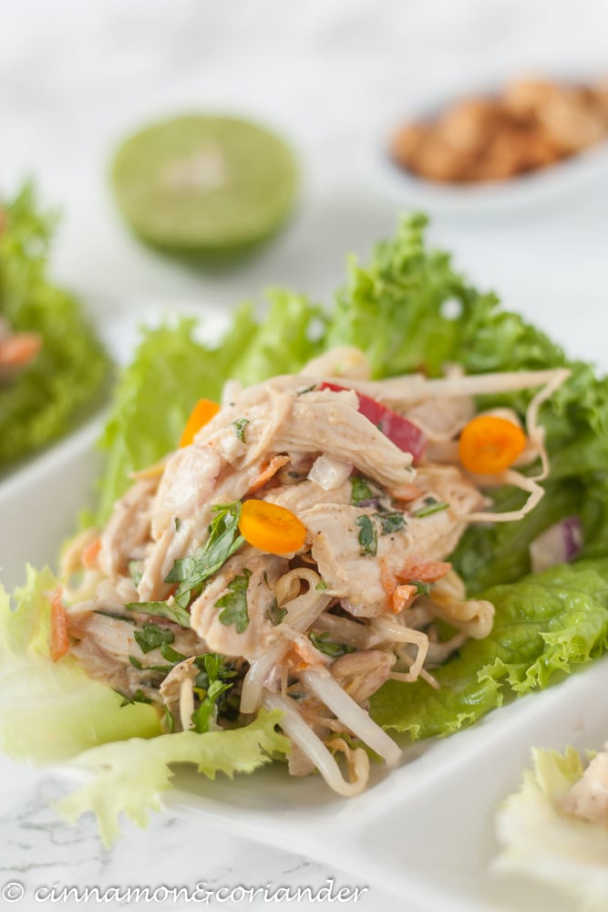 Healthy Peanut Chicken Lettuce Wraps with Peanut Dressing on a white plate