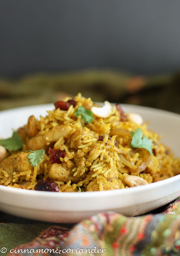 Chicken Biryani with nuts and fresh cilantro on a white plate - Side view 