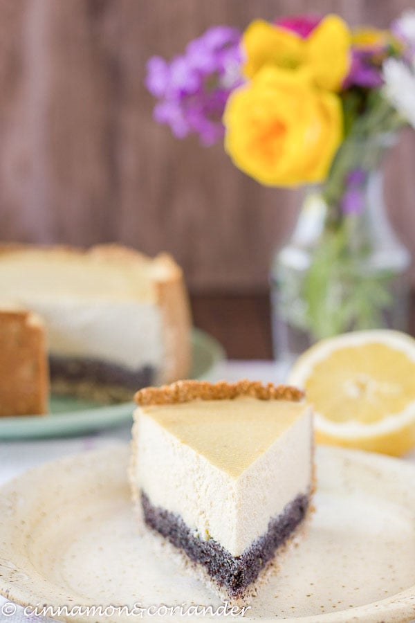 Close-up of a slice of healthy vegan tofu cheesecake with homemade poppy seed filling 