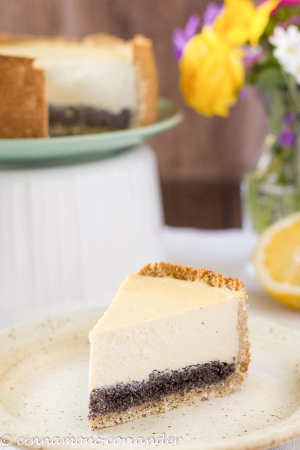 a slice of Lemon Poppy Seed Vegan Tofu Cheesecake on a white plate