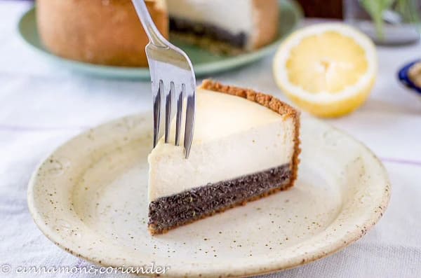 tofu cheesecake a slice of German Vegan Cheesecake with POPPYseed filling and lemon filling