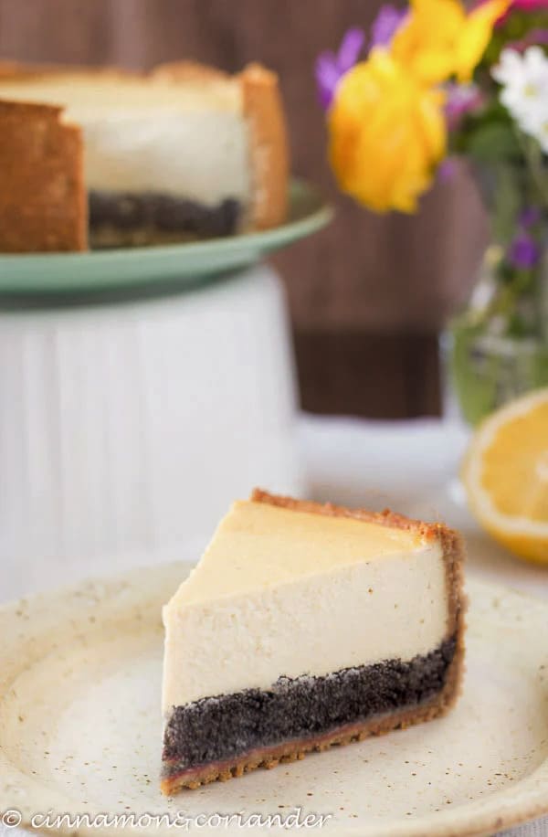 tofu cheesecake a slice of vegan tofu German cheesecake with poppyseed filling