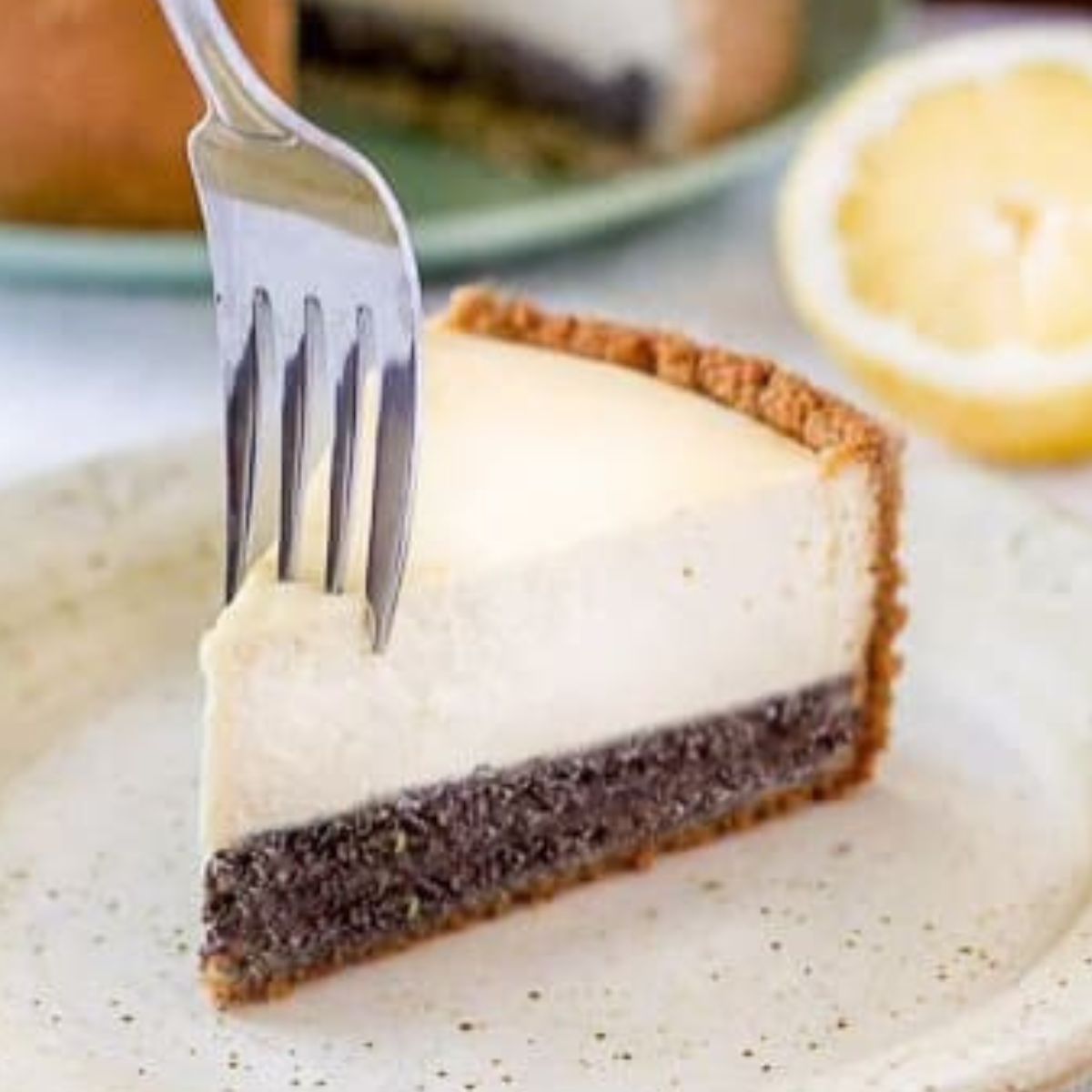 Veganer Käsekuchen mit Mohn (zucker-frei, gluten-frei)