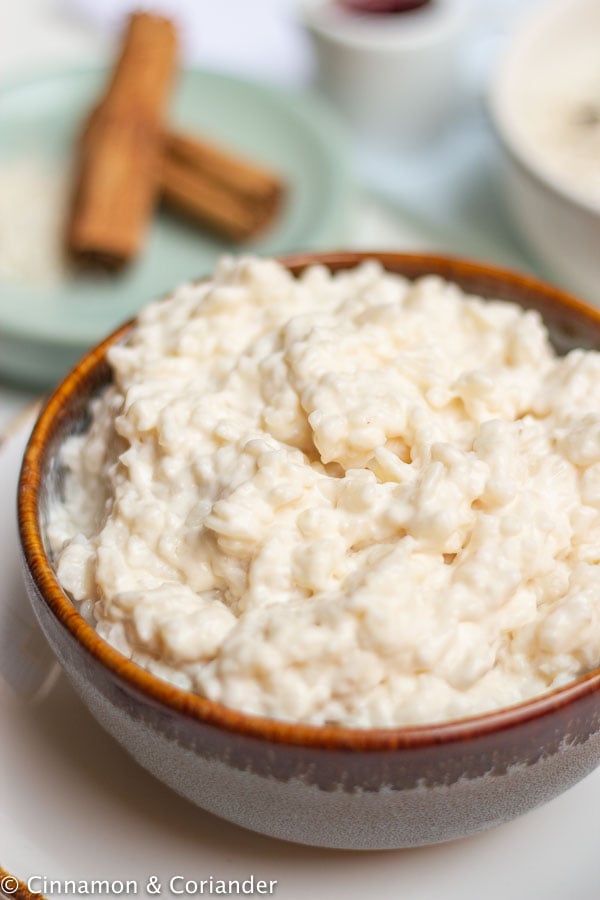 close-up of a bowl of creamy vegan instant pot rice pudding