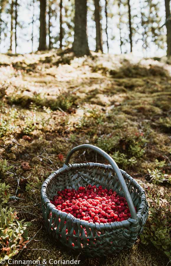a basket filled with freshly picked raspberries standing in a forest