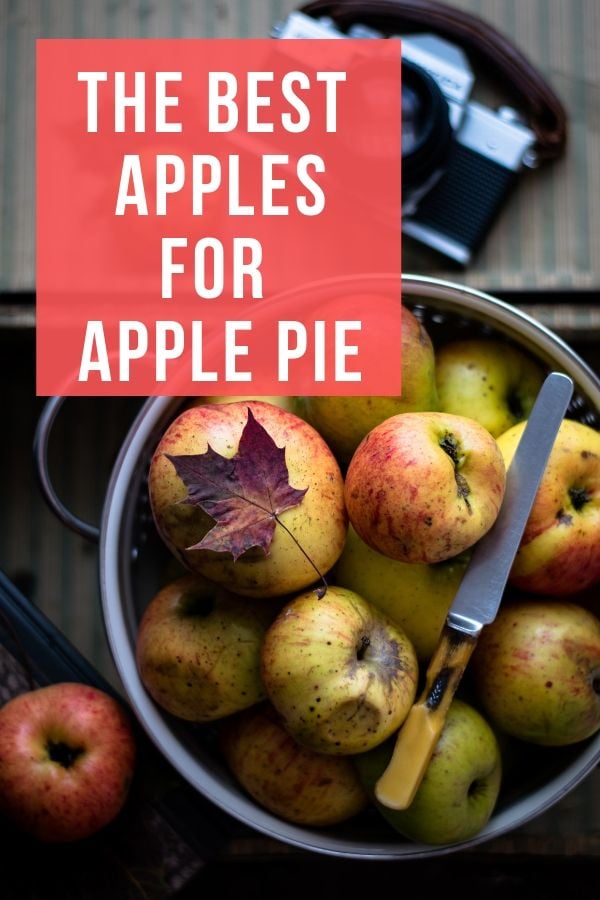 [:de]Best Apples for Apple Pies - Blog Graphic[:en]The Best Apples for Apple Pie | Ever wondered which are the best apples for apple pie? This is the ultimate guide to baking with apples. The following apples are the very best to use for baking. Pick some apples from the tart list and some from the sweet list. #fallbaking #applepie #fallrecipes #pie #kitchentips [:]