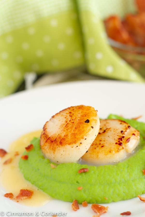 side view of perfect pan-seared scallops with a golden crust sitting on pea puree with bacon and beurre blanc