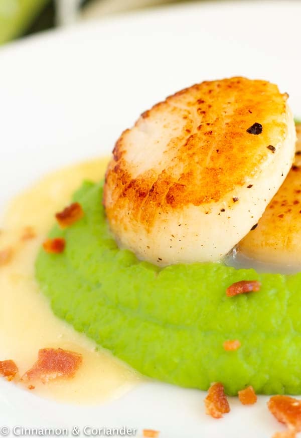 close-up of a pan-seared scallop with the perfect golden crust sitting on pea puree