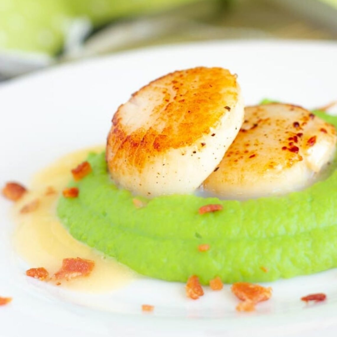 side view of pan seared scallops served on pea puree drizzled with beurre blanc