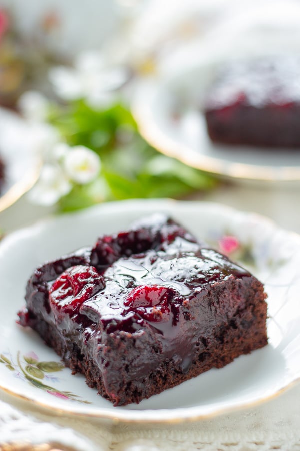 ein saftiger Kirsch Brownie mit Kakao auf einem Kuchenteller mit Kirschblüten im Hintergrund