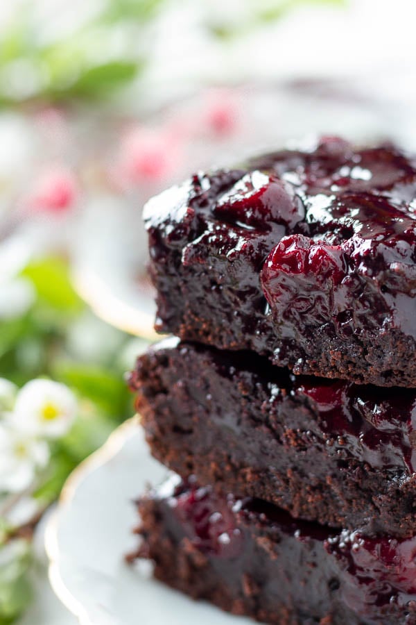 Nahaufnahme von saftigen Kirsch Brownies mit Kakaopulver ohne Nüssen