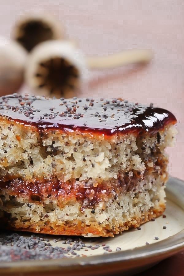 a slice of traditional German Poppy Seed Sheet Cake filled with plum jam 
