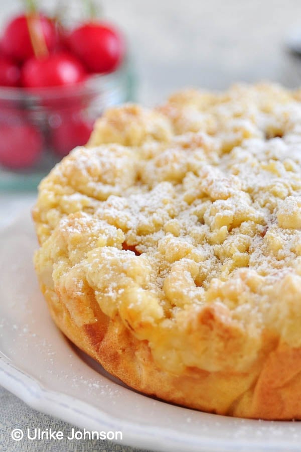 Aprikosen Streuselkuchen mit Puderzucker bestäubt auf einer Kuchenplatte