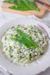 a plate of wild garlic risotto garnished with fresh wild garlic leaves