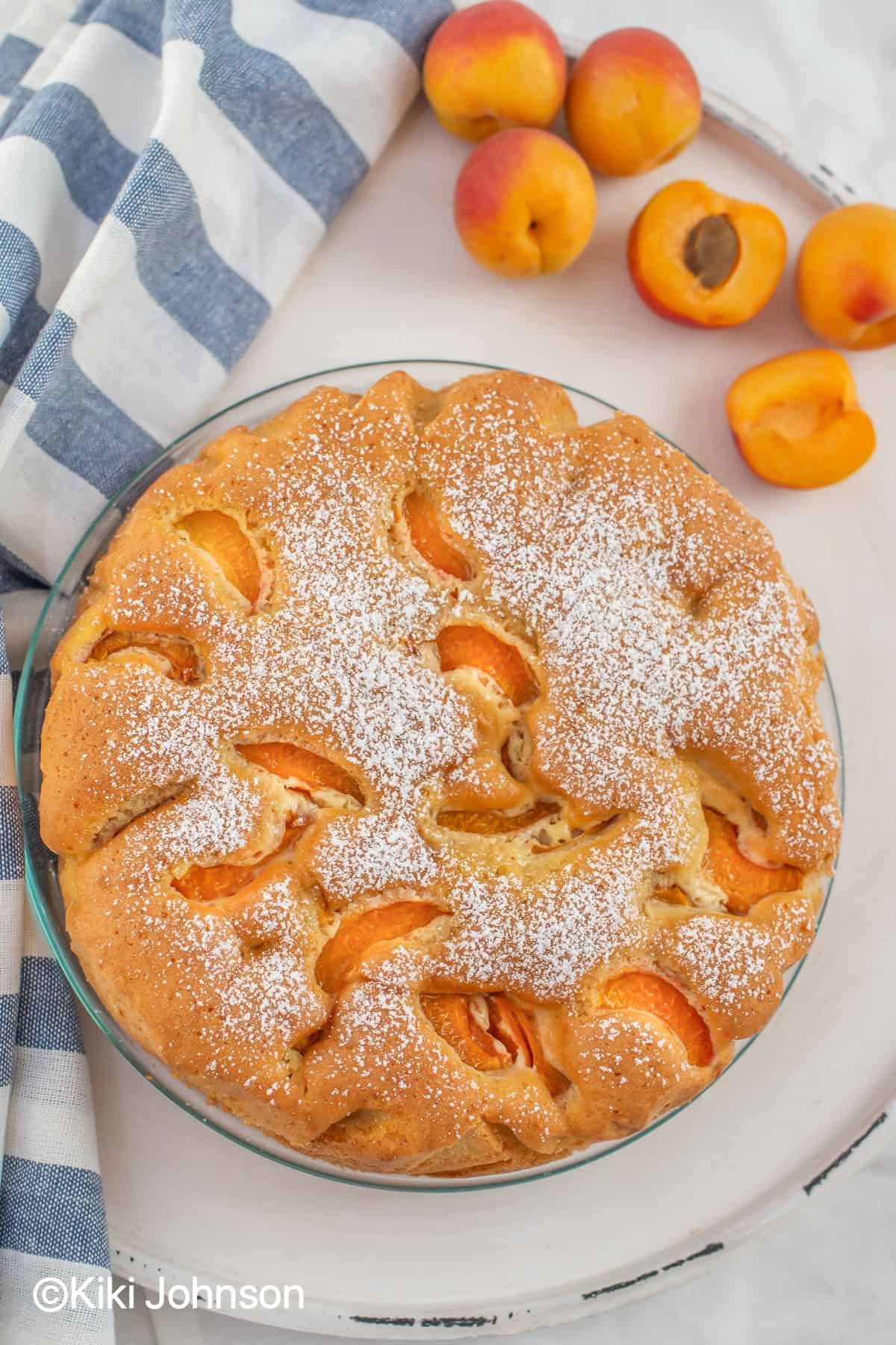 a freshly baked Austrian vegan Apricot cake dusted with icing sugar with fresh apricots on the side