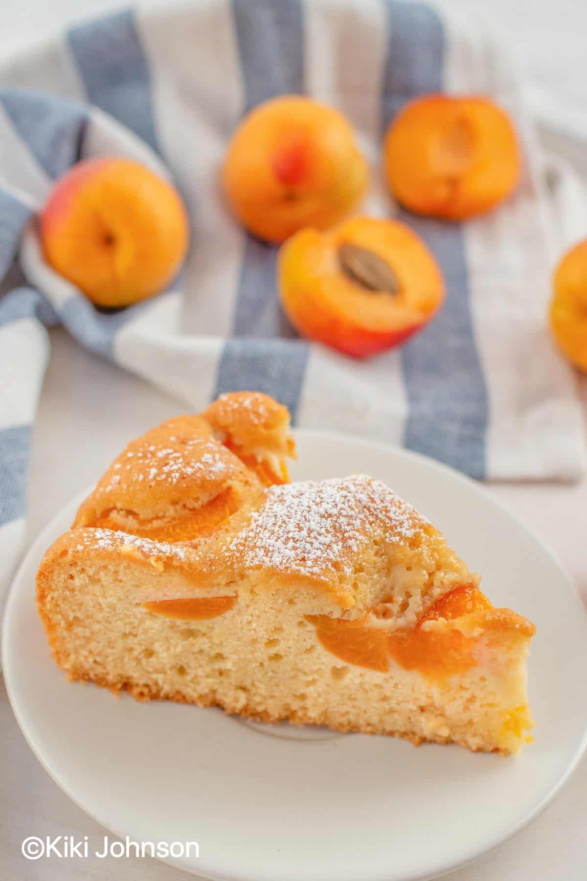 a slice of Austrian Apricot cake with fresh apricots in the background