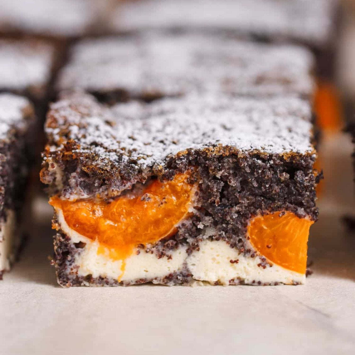 Saftiger Aprikosenkuchen mit Mohn und Quark, in Stücke geschnitten und mit Puderzucker bestäubt. Im Anschnitt sieht man die cremige Quarkschicht und die gebackenen Aprikosen im dunklen Mohnteig.