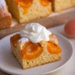 a slice of austrian apricot cake served with whipped cream