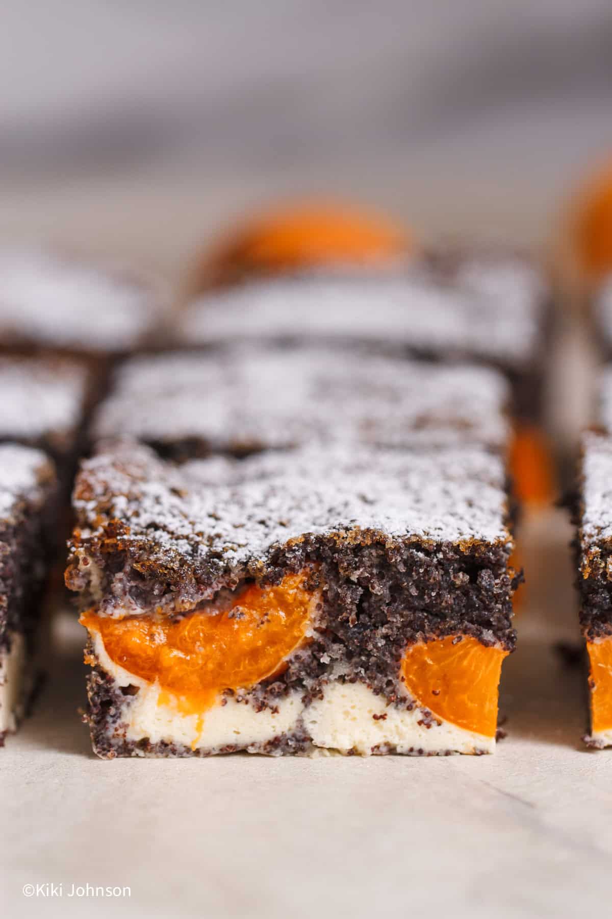 Saftiger Aprikosenkuchen mit Mohn und Quark, in Stücke geschnitten und mit Puderzucker bestäubt. Im Anschnitt sieht man die cremige Quarkschicht und die gebackenen Aprikosen im dunklen Mohnteig.