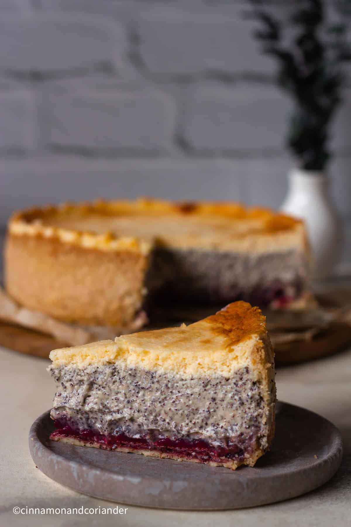 Seitenanblick von einem Stück Mohn Schmandkuchen mit Kirschen und Schmandguss auf einem schwarzen Teller mit einem angeschnittenen Kuchen im Hintergrund