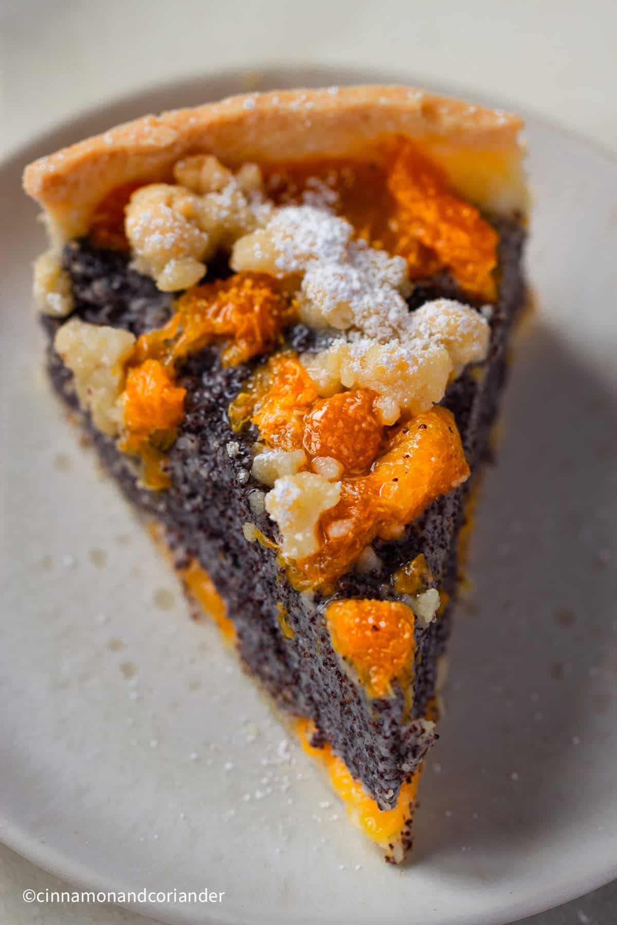 overhead shot of a single slice of German poppy seed cake with mandarin oranges and streusel topping on a white plate